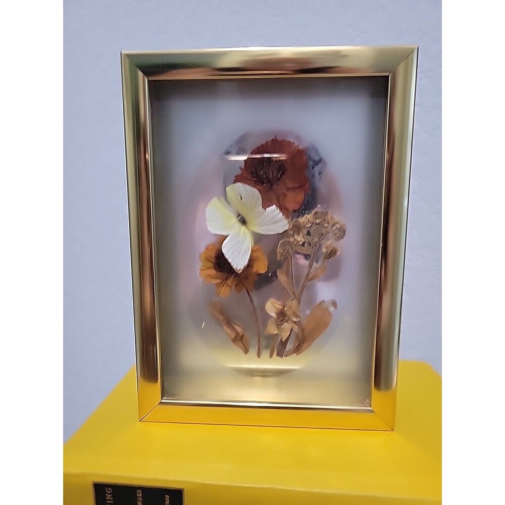 Vintage Dried Flowers Butterfly Framed Collage 5 x 7 Brass Gallery Wall MCM 70s